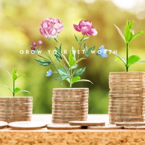 Read more about the article How To Grow Your Net Worth