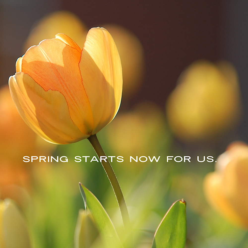 You are currently viewing Are You Ready For The Spring Real Estate Market?