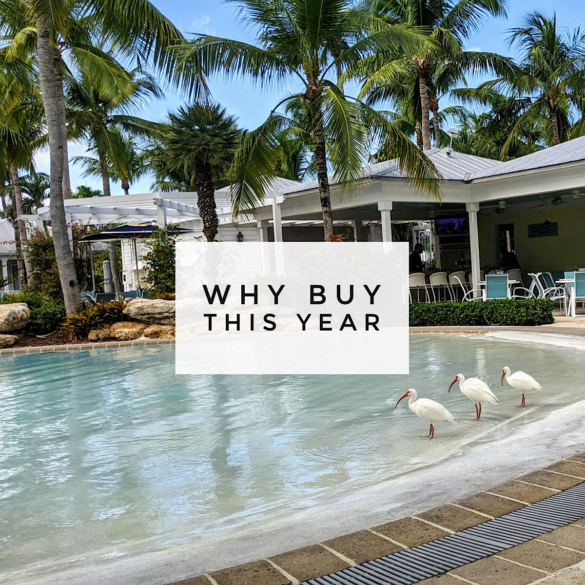 You are currently viewing 4 Reasons People Are Buying Homes in 2021